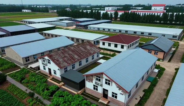 技术咨询如何助力企业应对数字化转型挑战